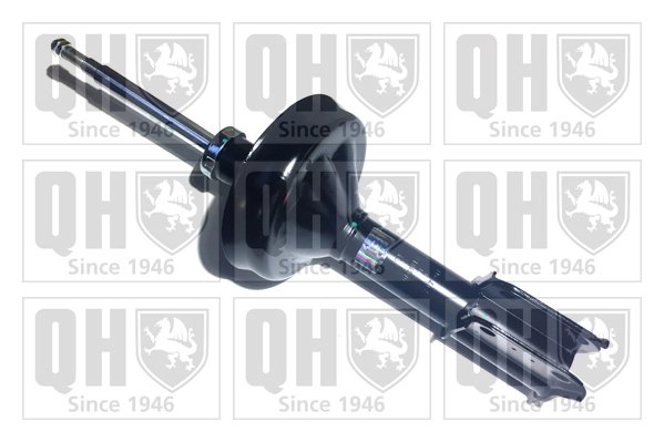 QAG181310