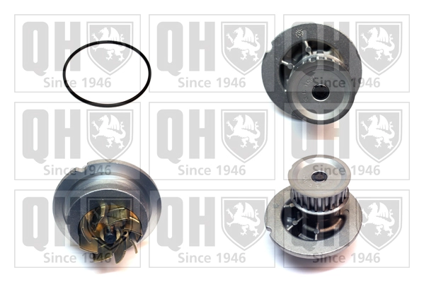 QCP3676