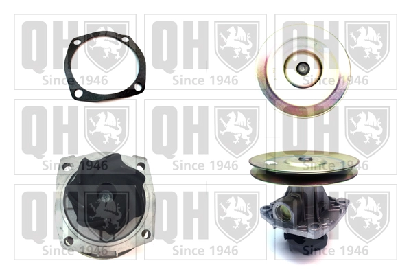 QCP2696