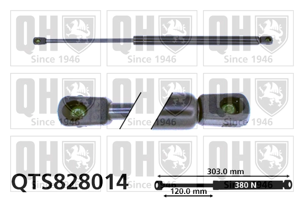 QTS828014
