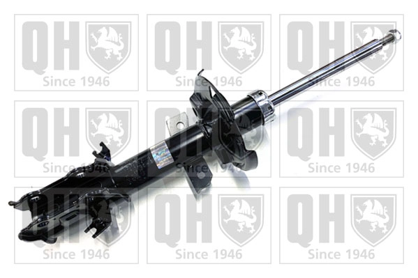 QAG181529