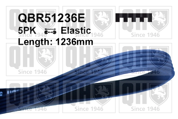 QBR51236E