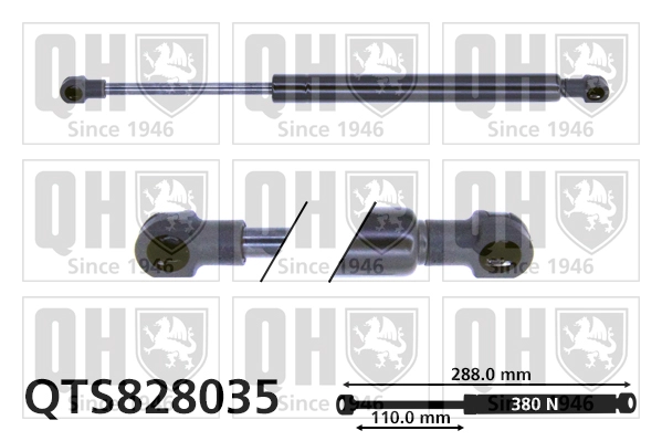 QTS828035