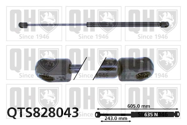 QTS828043