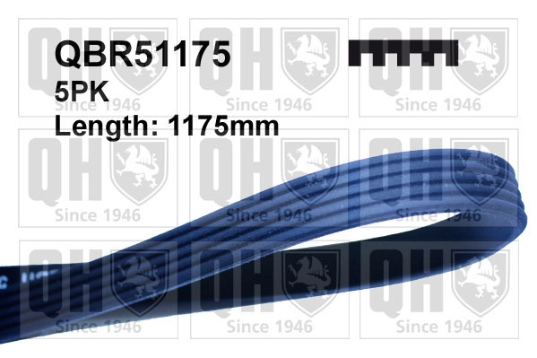 QBR51175