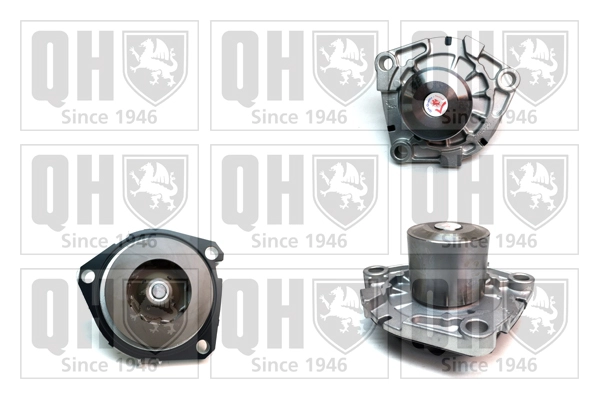 QCP3566