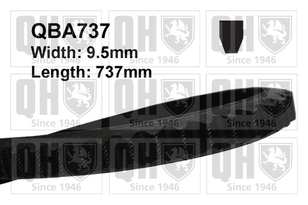 QBA737