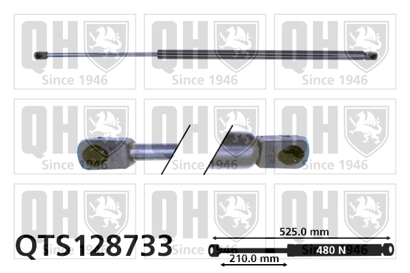 QTS128733