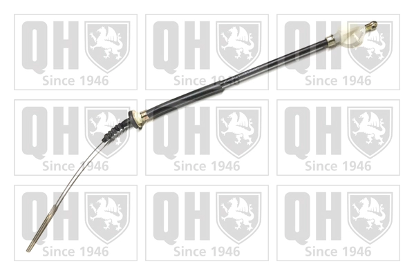 QCC1538