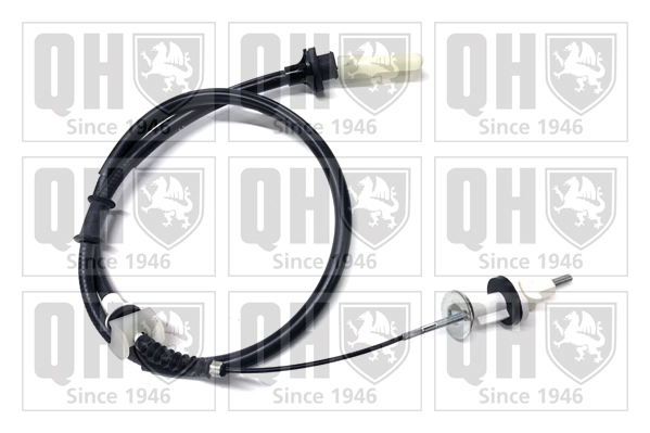 QCC1955