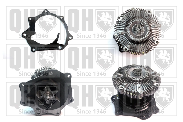 QCP2975