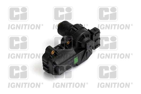 XICV10