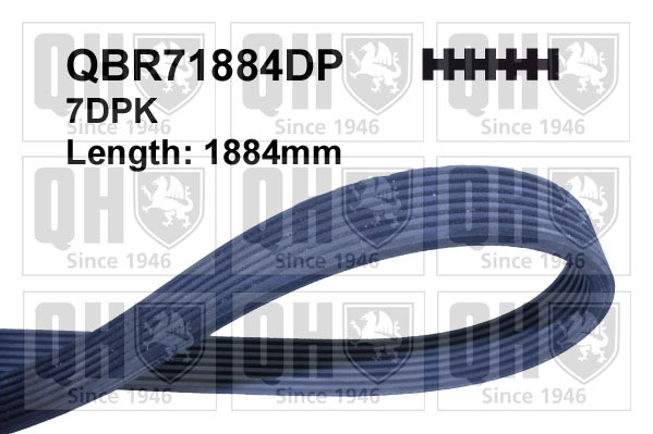 QBR71884DP