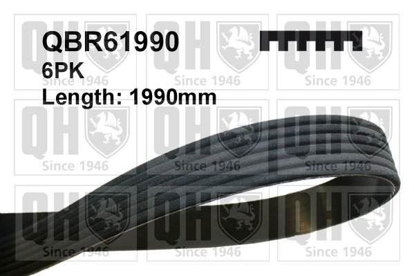 QBR61990