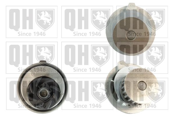 QCP2517