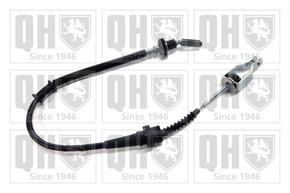 QCC1962