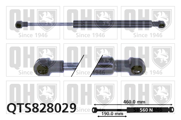 QTS828029