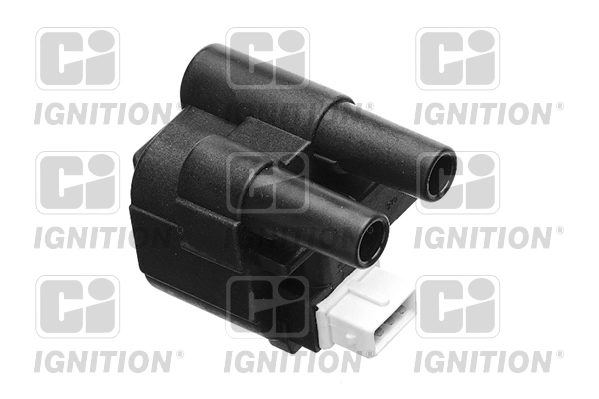 XIC8176
