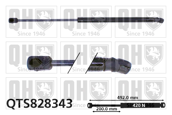 QTS828343