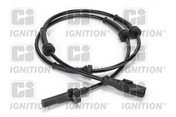 XABS811