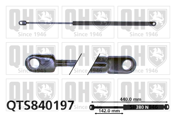 QTS840197
