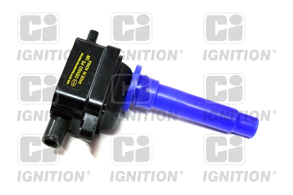 XIC8405