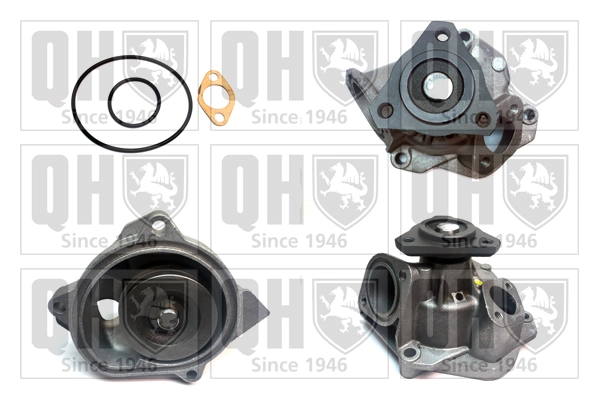 QCP2665