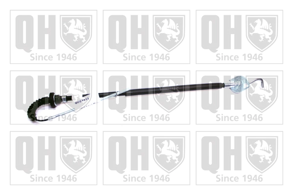 QCC1813
