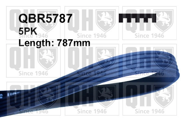 QBR5787