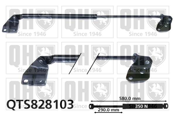 QTS828103