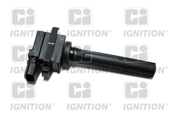 XIC8305