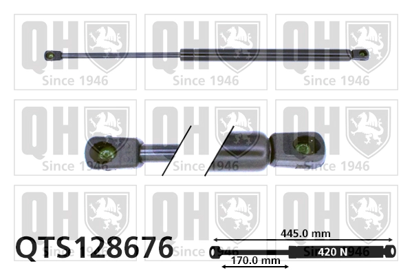 QTS128676