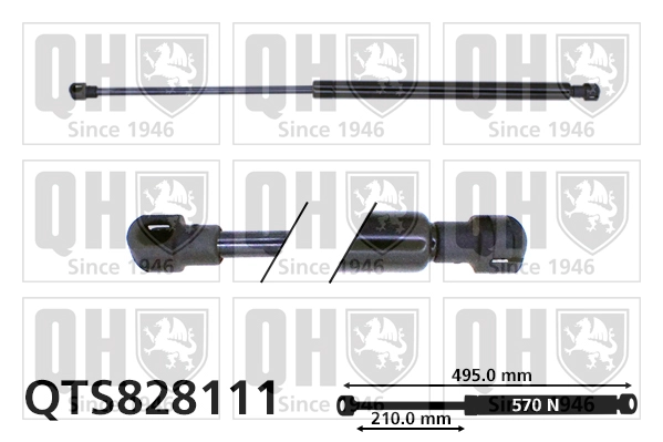 QTS828111