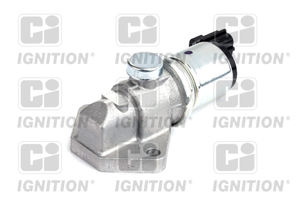XICV13