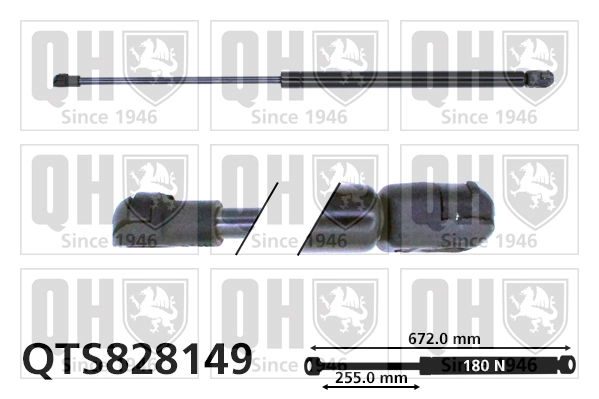 QTS828149
