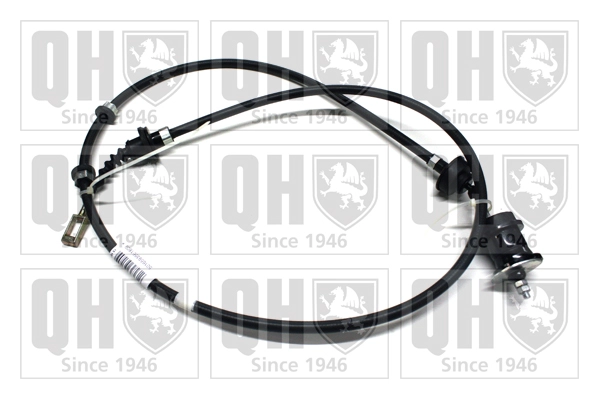 QCC1631