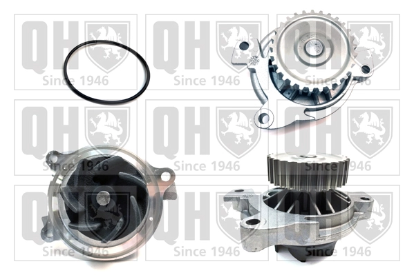 QCP3093
