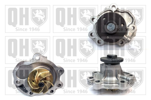 QCP3956