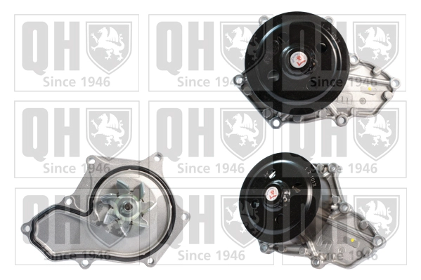 QCP3670