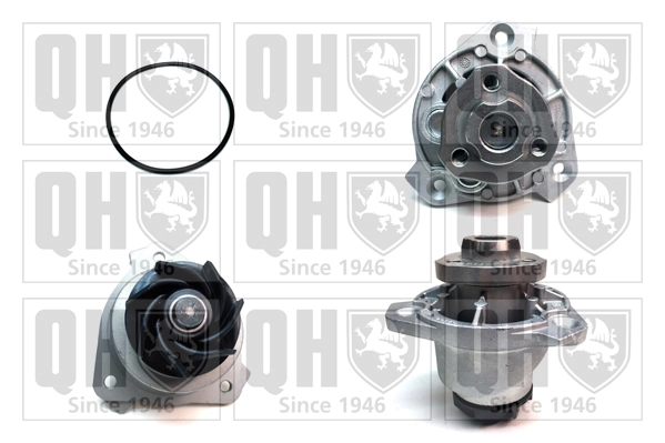 QCP3369