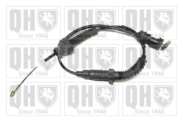 QCC1946