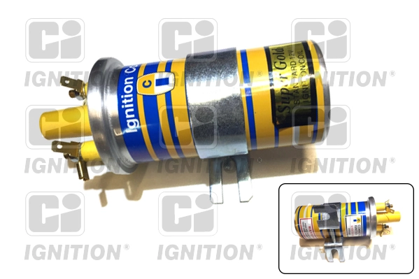 XIC8029