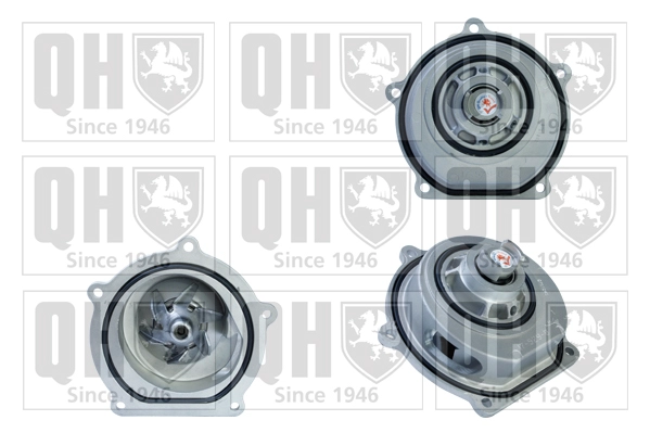 QCP3125