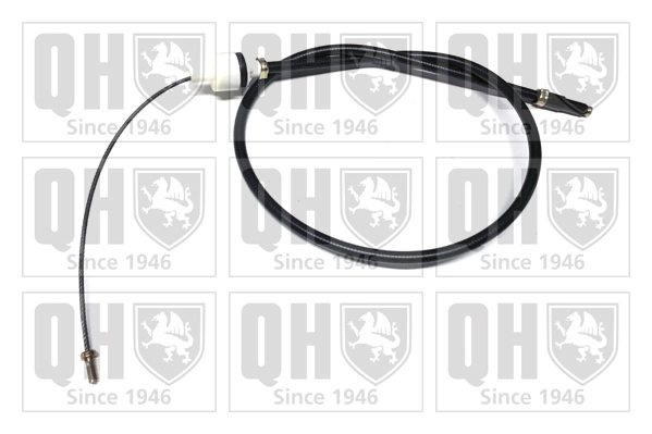 QCC1361
