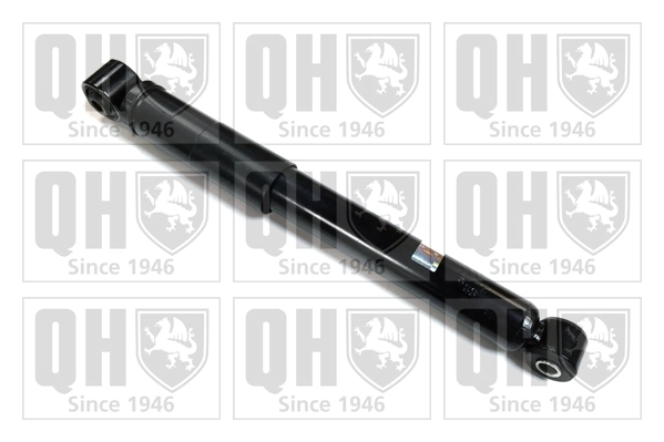 QAG179810