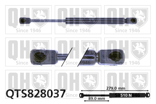 QTS828037