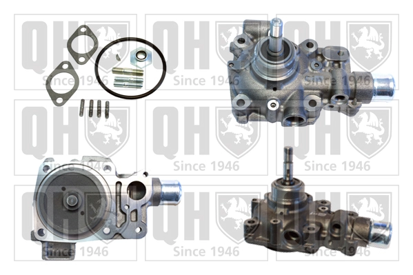 QCP3819