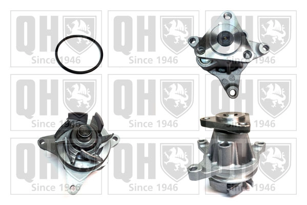 QCP3539