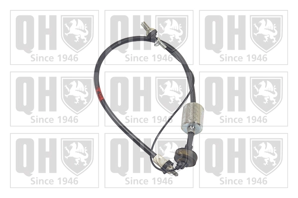 QCC1786