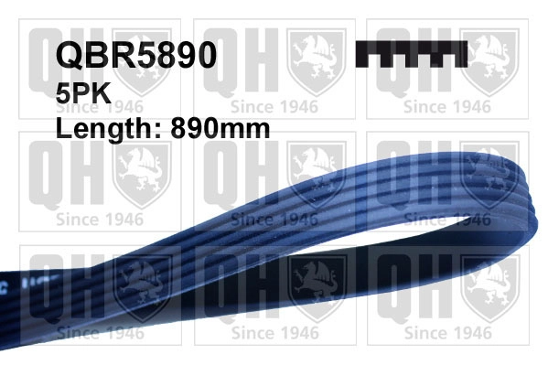 QBR5890